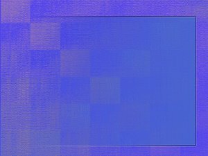 SEO优化行业关键词：专业术语的优化技巧